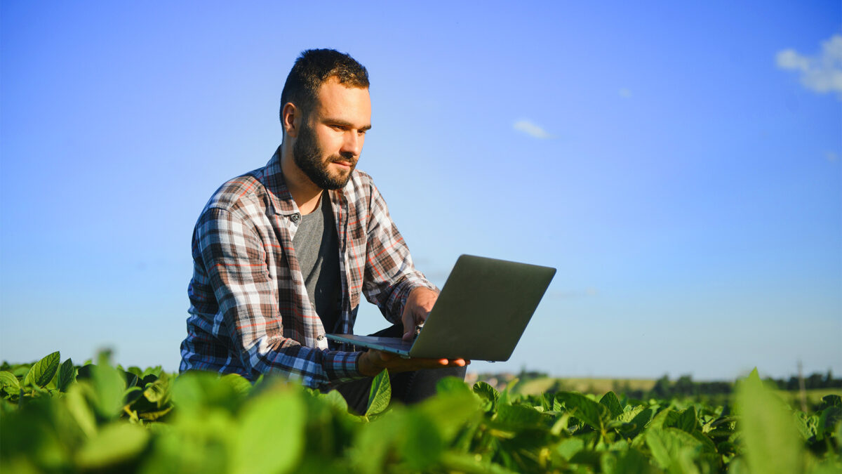 A Importância da Gestão de Riscos para Agronegócios